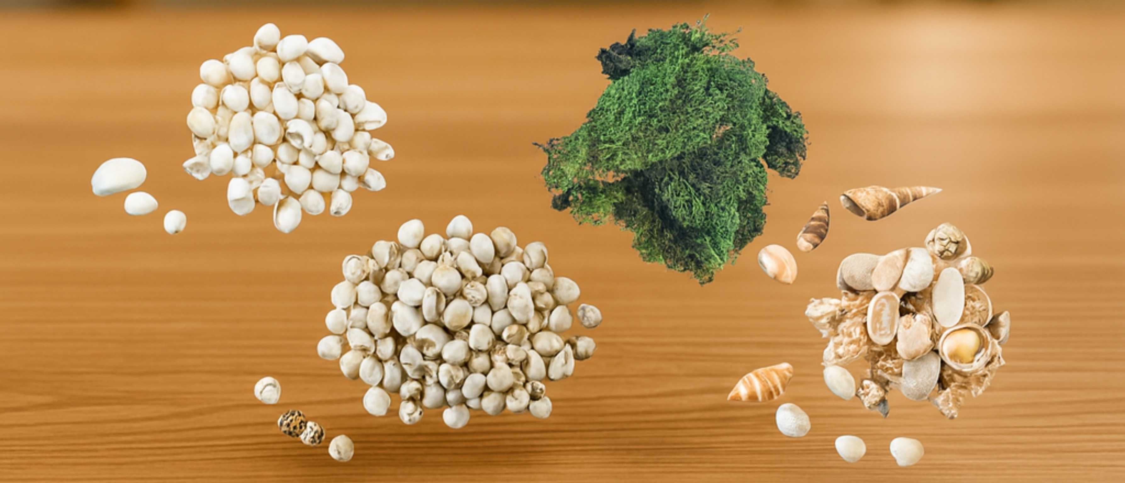 Best Ocean Needs in UAE