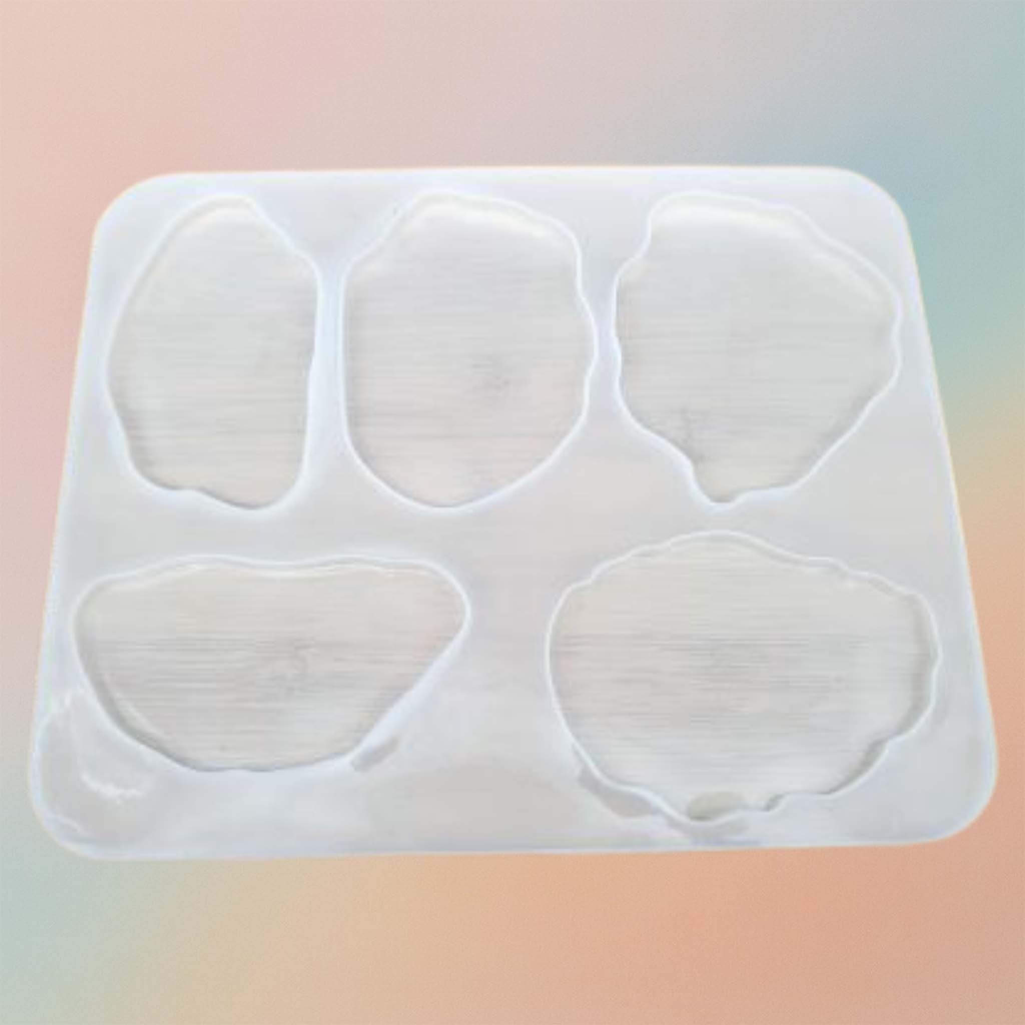 5 Pieces Agate Coaster Mould