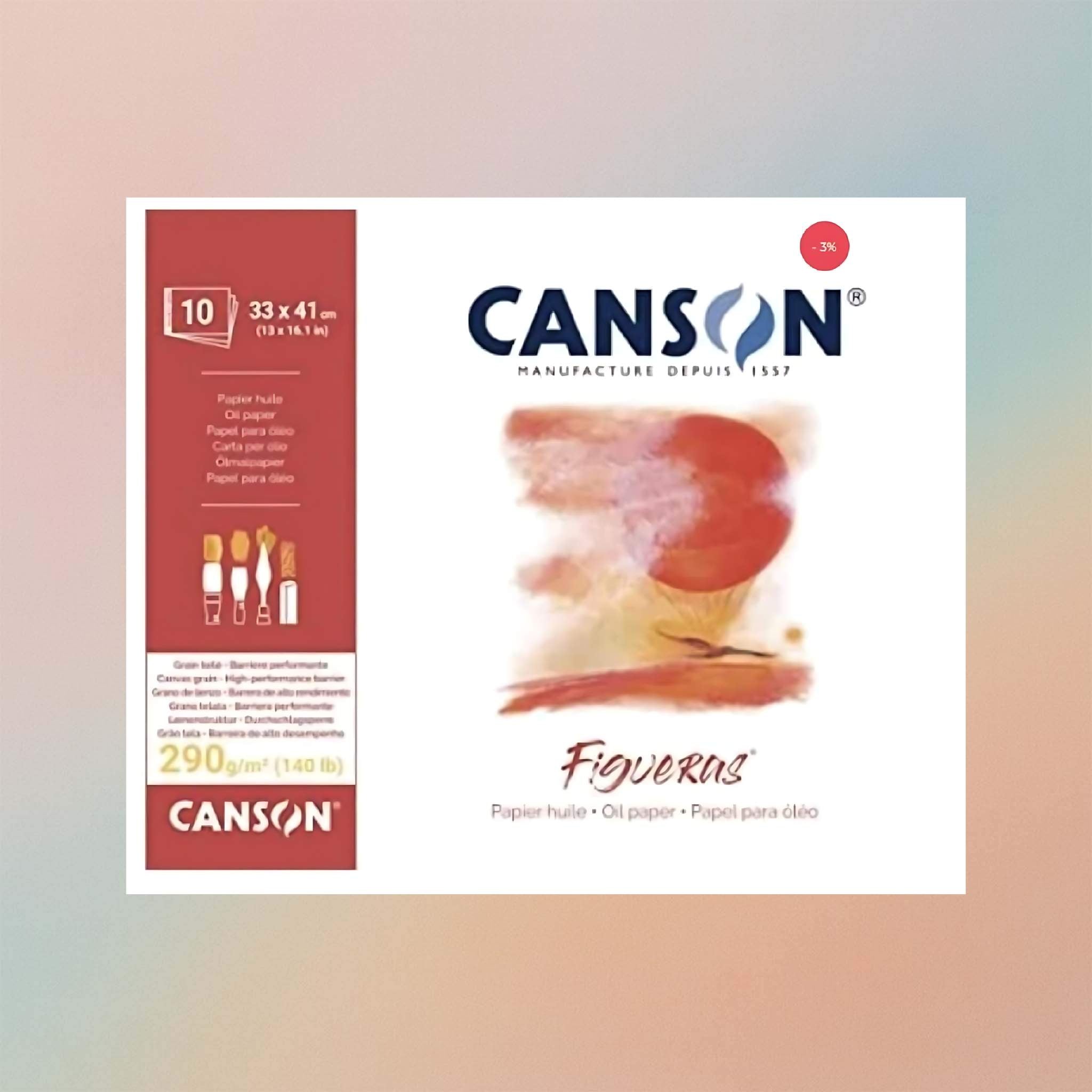 Canson ISG Figure 10Sheet 290G 33x41 Z