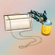Clear Acrylic Clutch Bag With Gold Chain For Resin Art and Crafting