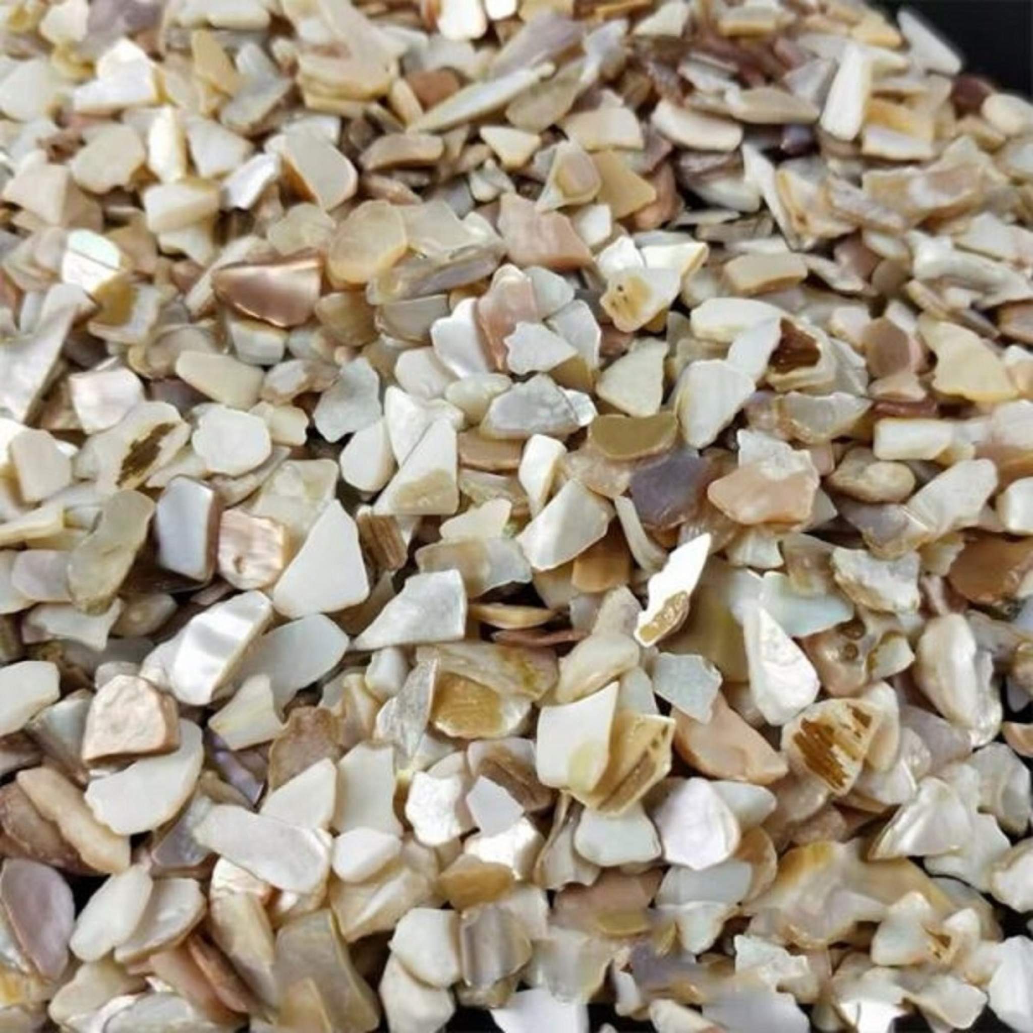Crushed Natural Sea Shell Chips for DIY Art Projects