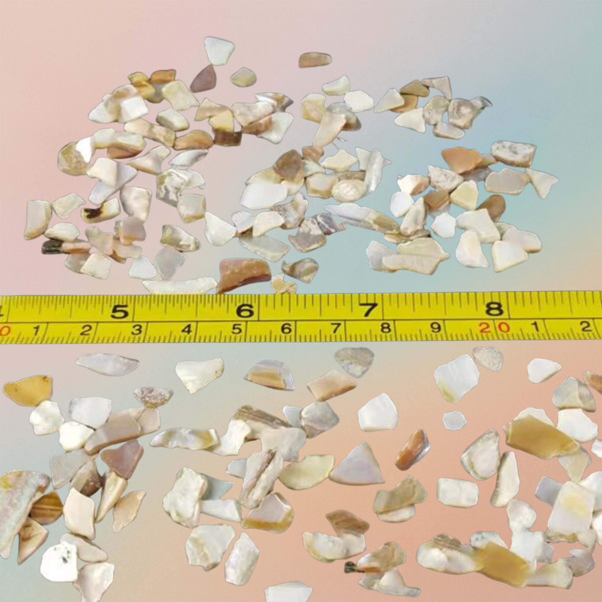 Crushed Natural Sea Shell Chips for DIY Art Projects