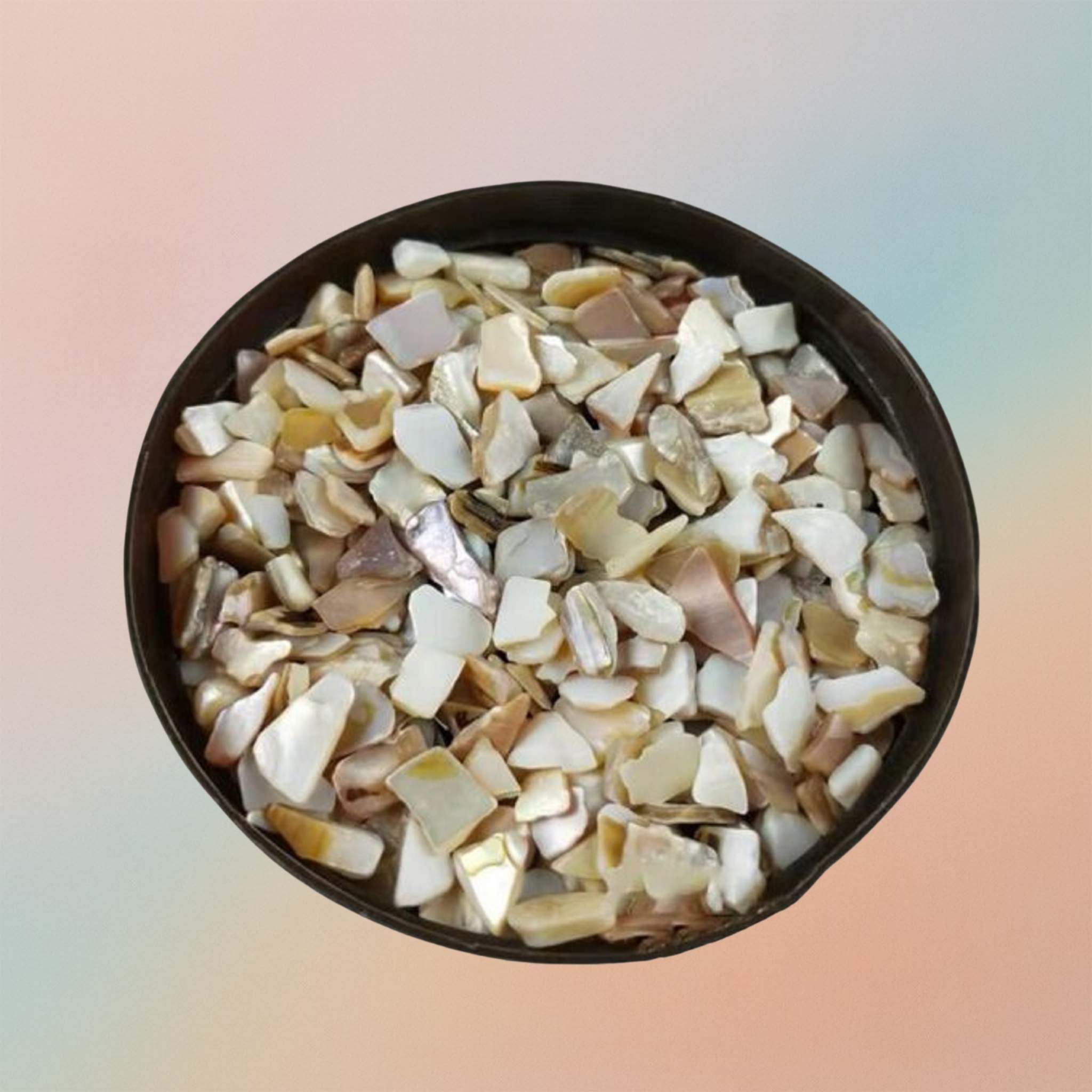 Crushed Natural Sea Shell Chips for DIY Art Projects