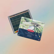Derwent Artists Pencils Tin Of 24