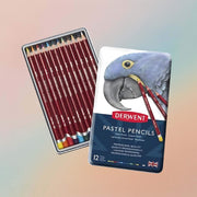 Derwent Pastel Pencils 12 Tin