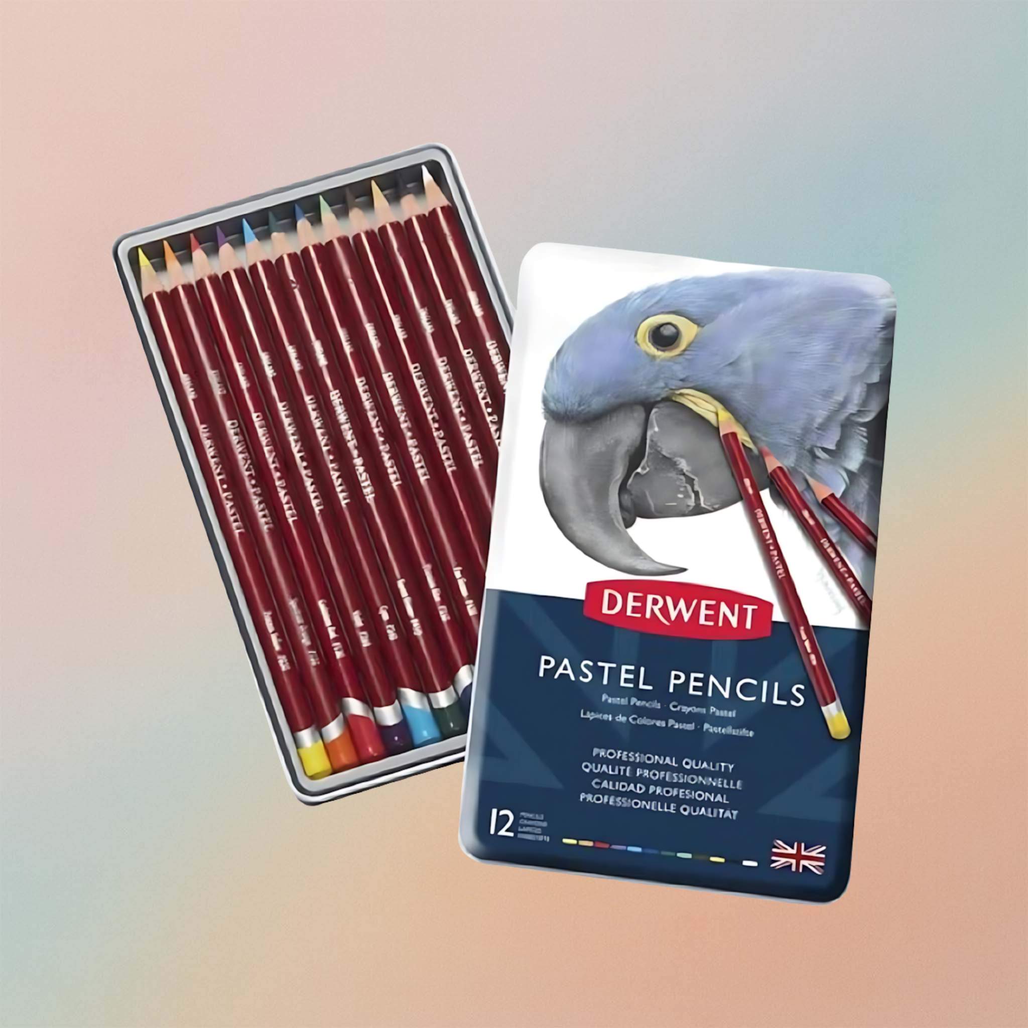 Derwent Pastel Pencils 12 Tin