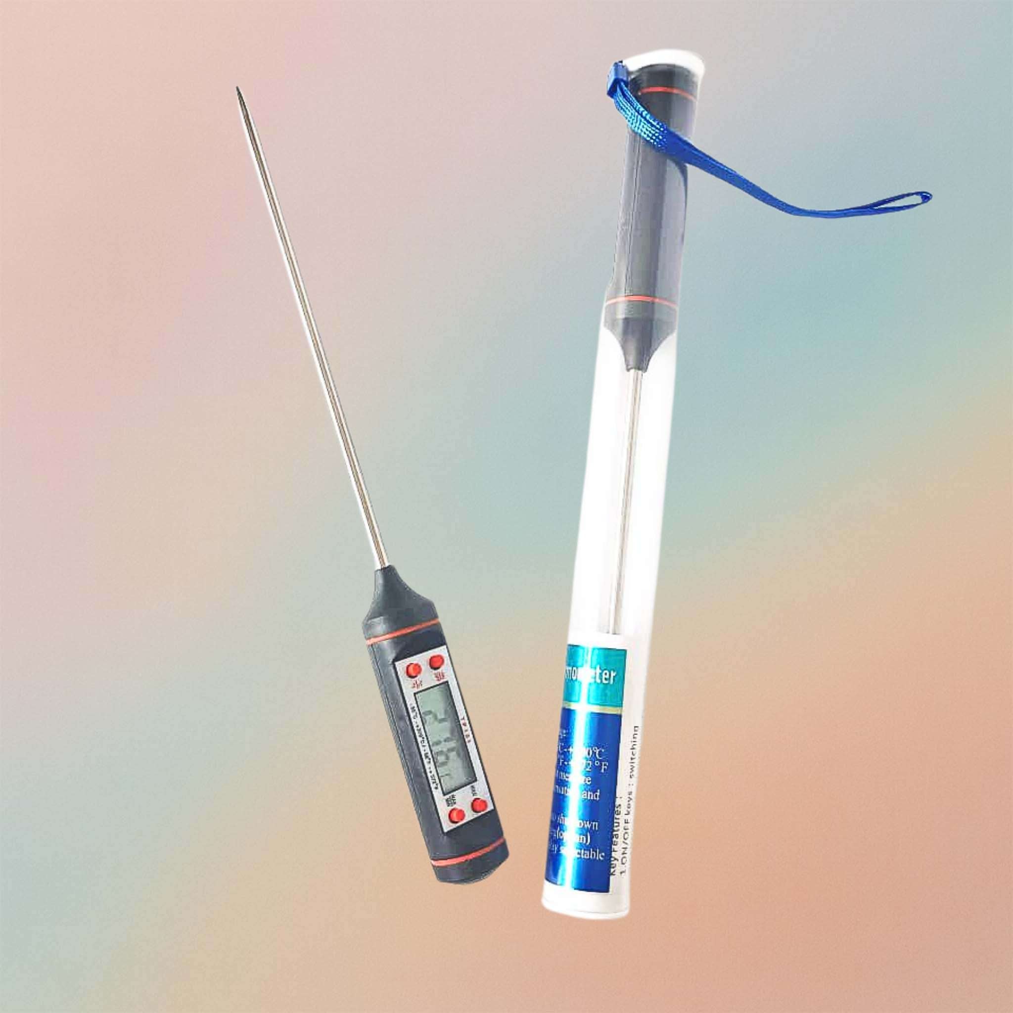 Digital LCD Thermometer