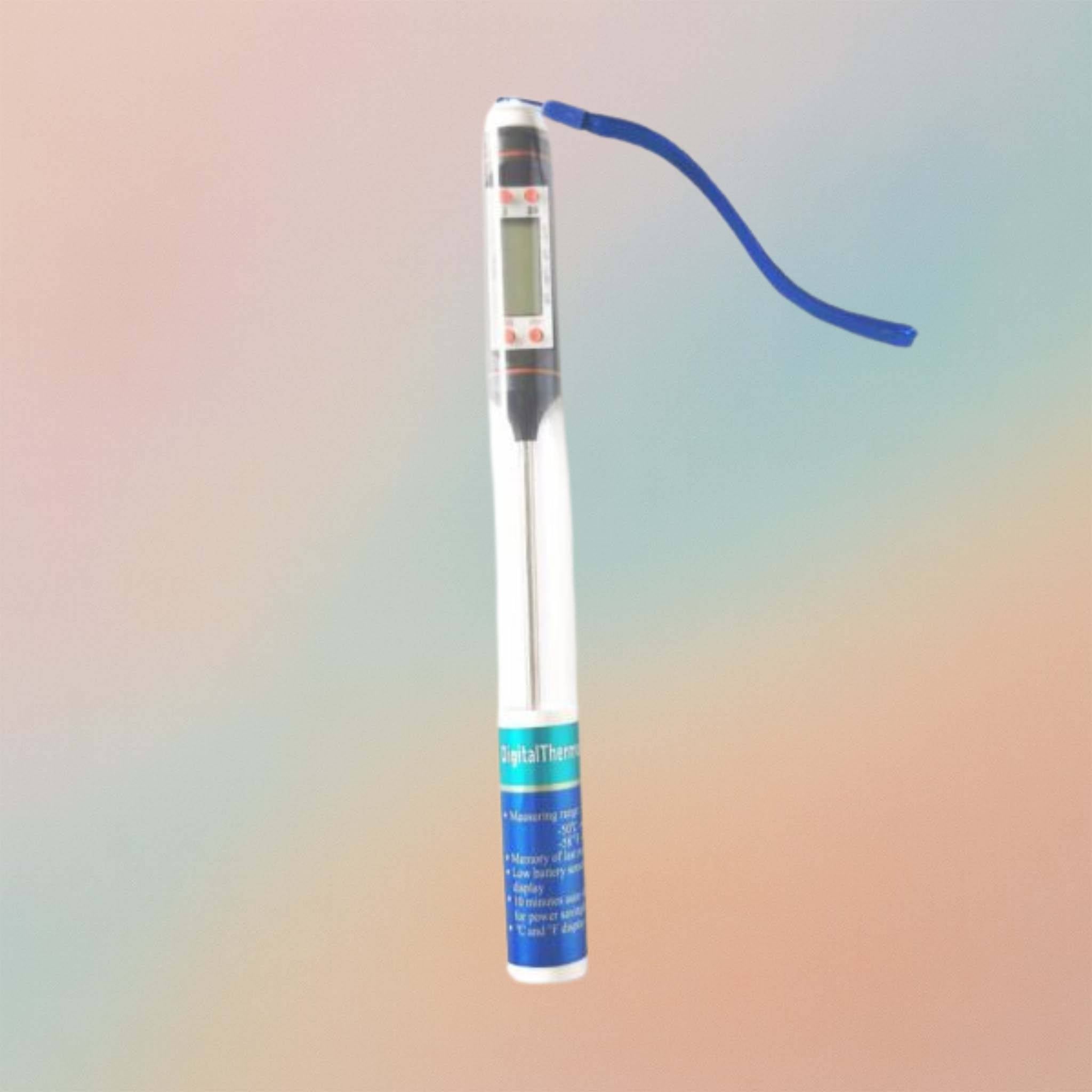 Digital LCD Thermometer