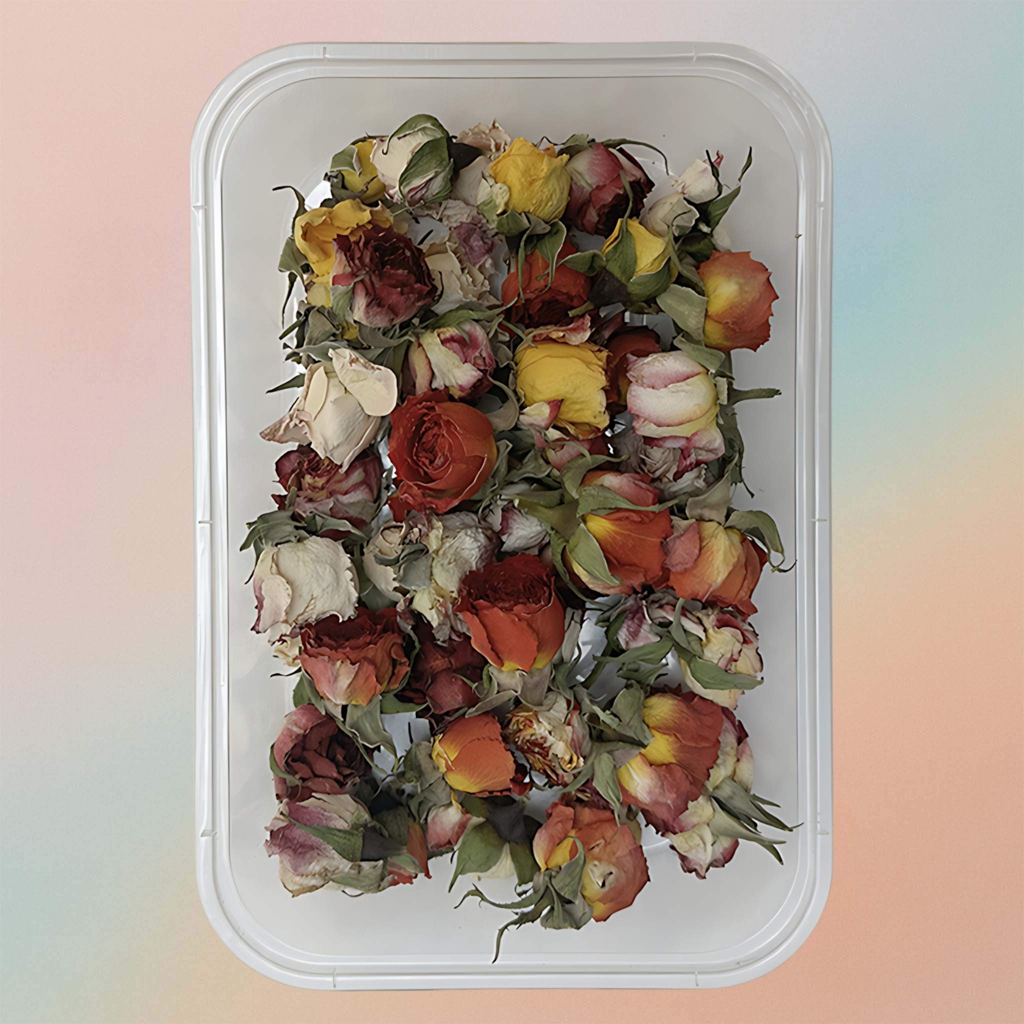 Dried Natural Preserved Botanicals Flowers Rose Buds Variety Pack Style 2