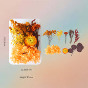 Dried Natural Preserved Botanicals Flowers For Resin Art- Orange