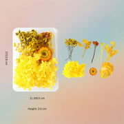 Dried Natural Preserved Botanicals Flowers For Resin Art- Yellow