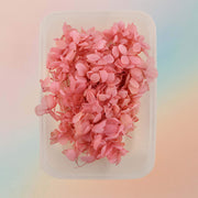 Dried Natural Preserved Botanicals Flowers - Variety Pack Style 7