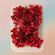 Dried Natural Preserved Botanicals Flowers - Variety Pack Style 8