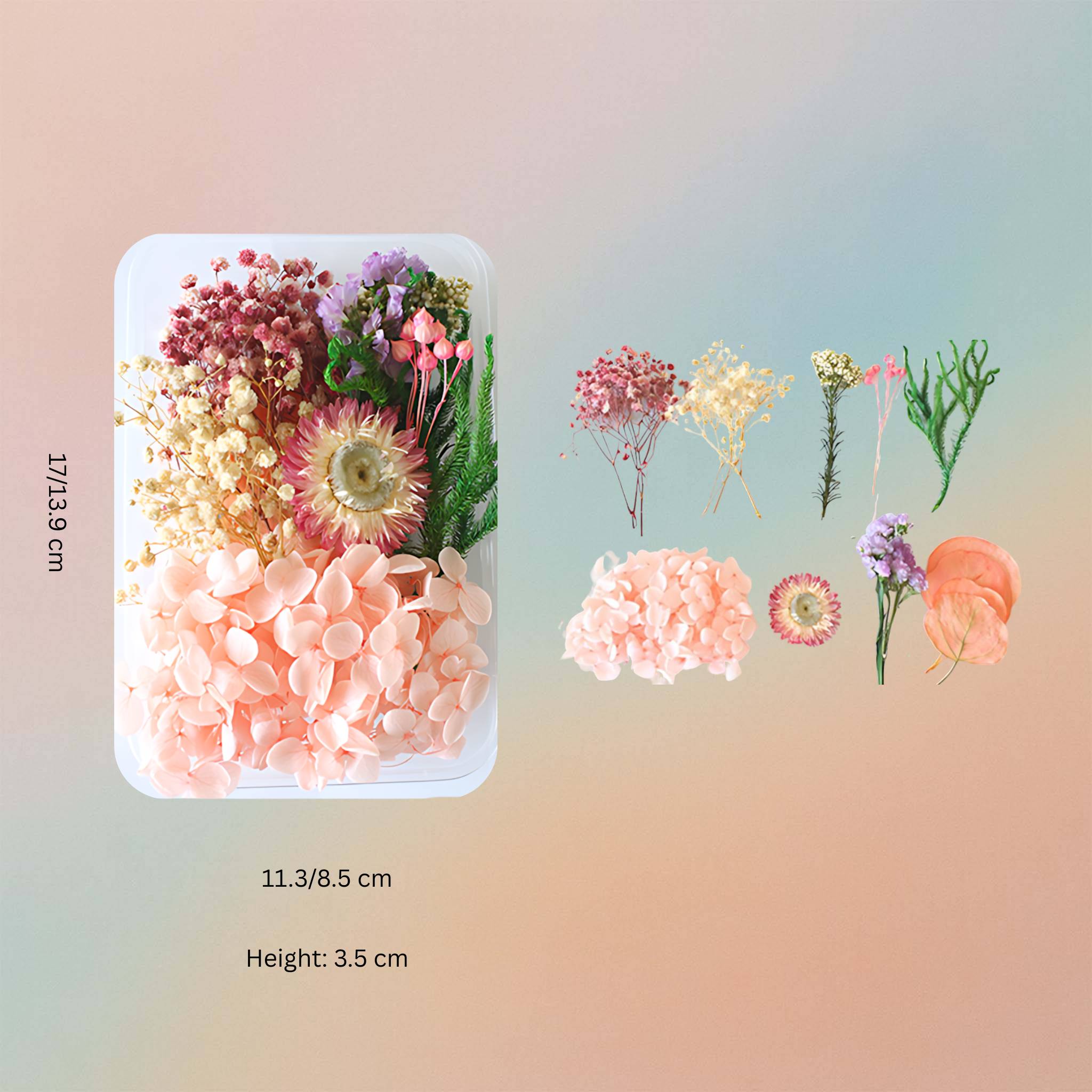 Dried Natural Preserved Botanicals Flowers For Resin Art – Pink