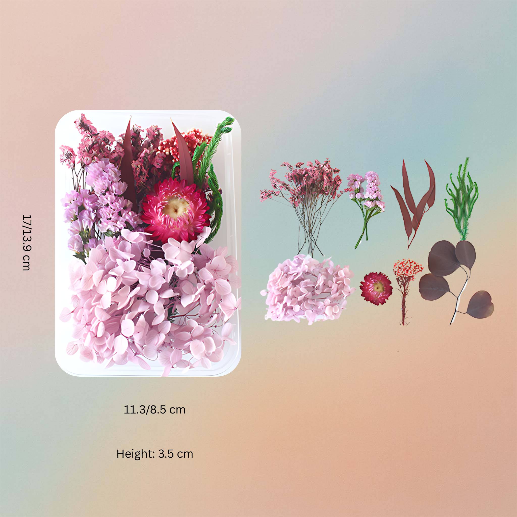 Dried Natural Preserved Botanicals Flowers For Resin Art – Purple