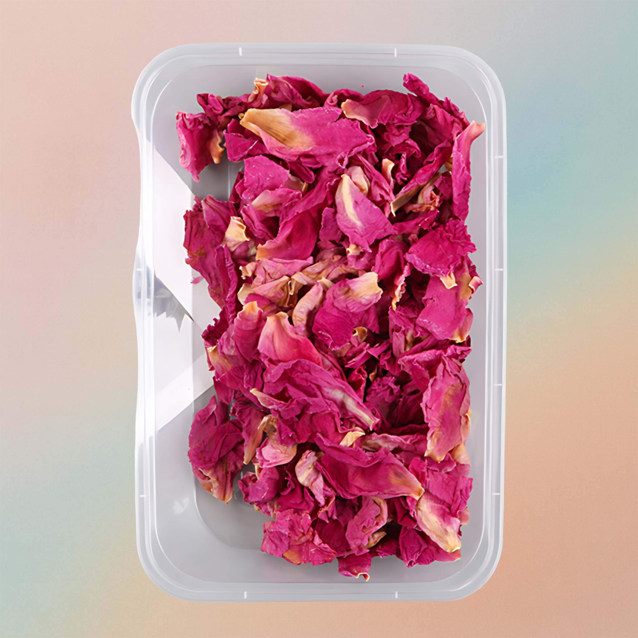 Dried Natural Preserved Box Of Rose Petals For Resin Art