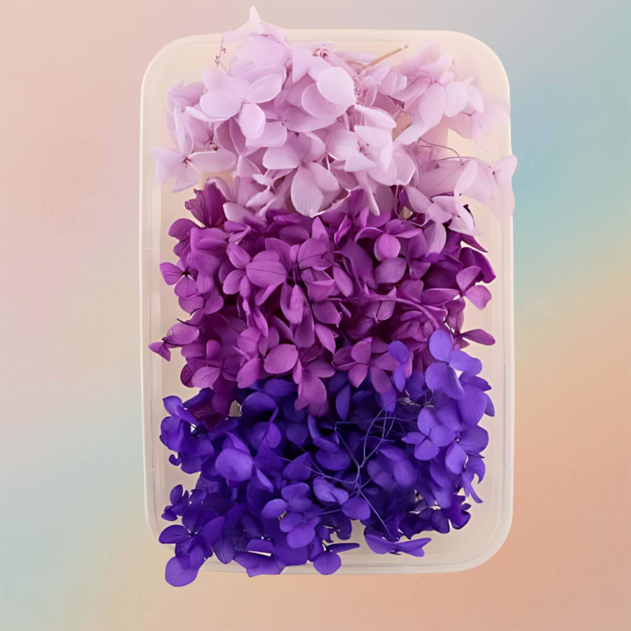 Dried Natural Preserved Flowers Variety Pack Style 1