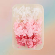 Dried Natural Preserved Flowers For Resin Art Variety Pack Style 3