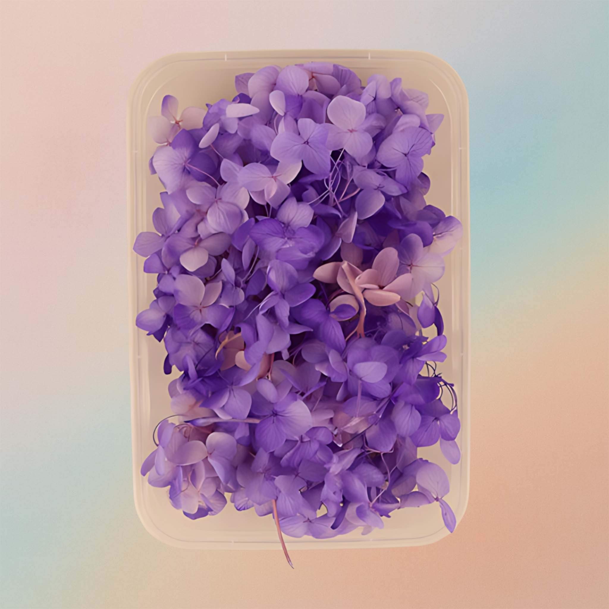 Dried Natural Preserved Flowers For Resin Art Variety Pack Style 4