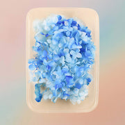 Dried Natural Preserved Flowers For Resin Art Variety Pack Style 5