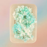 Dried Natural Preserved Flowers For Resin Art Variety Pack Style 6