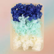 Dried Natural Preserved Flowers For Resin Art Variety Pack Style 2