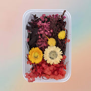 Dried Real Flower For Resin Art – Style 2