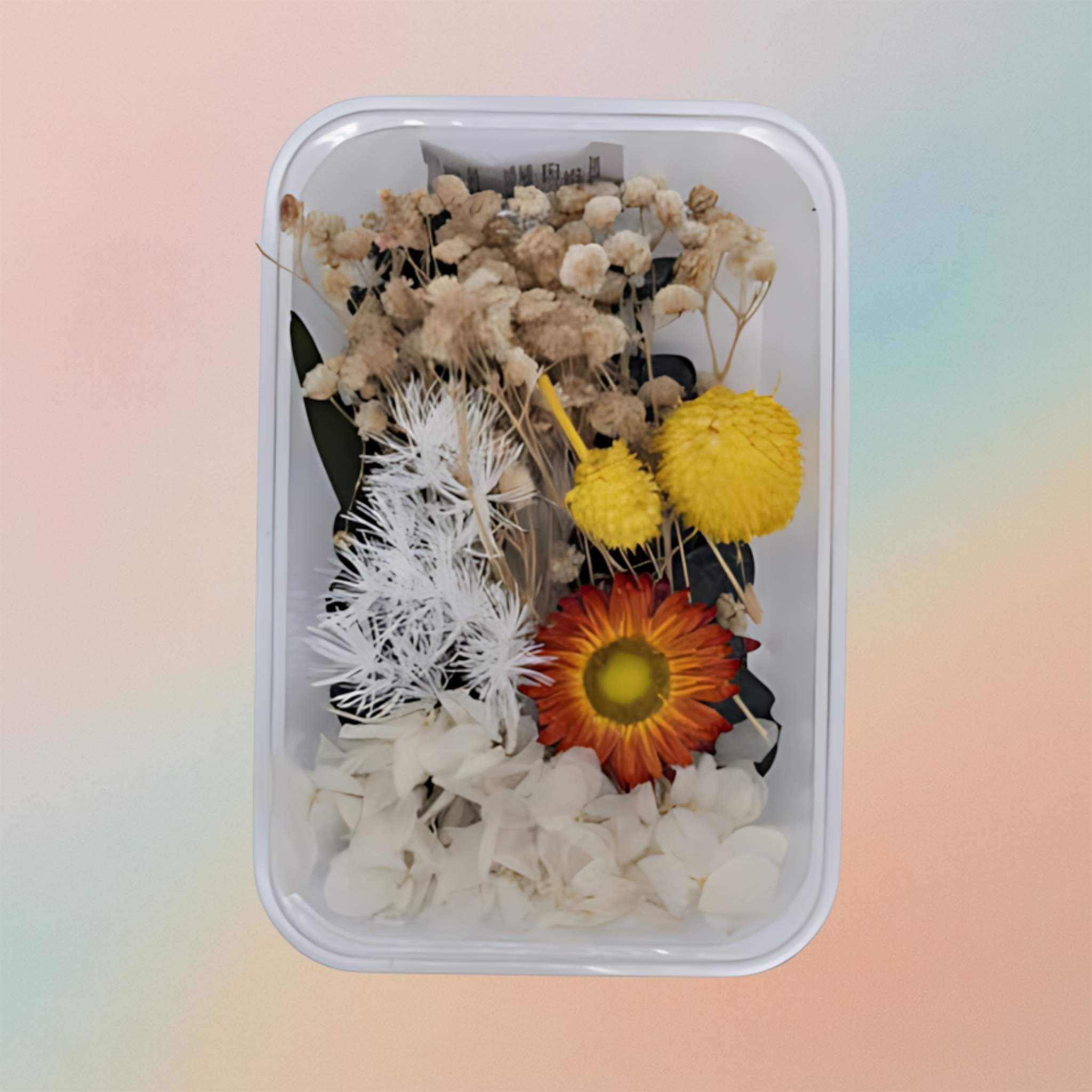 Dried Real Flower For Resin Art – Style 6