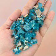 Firepit Glasses – Tortoise Blue