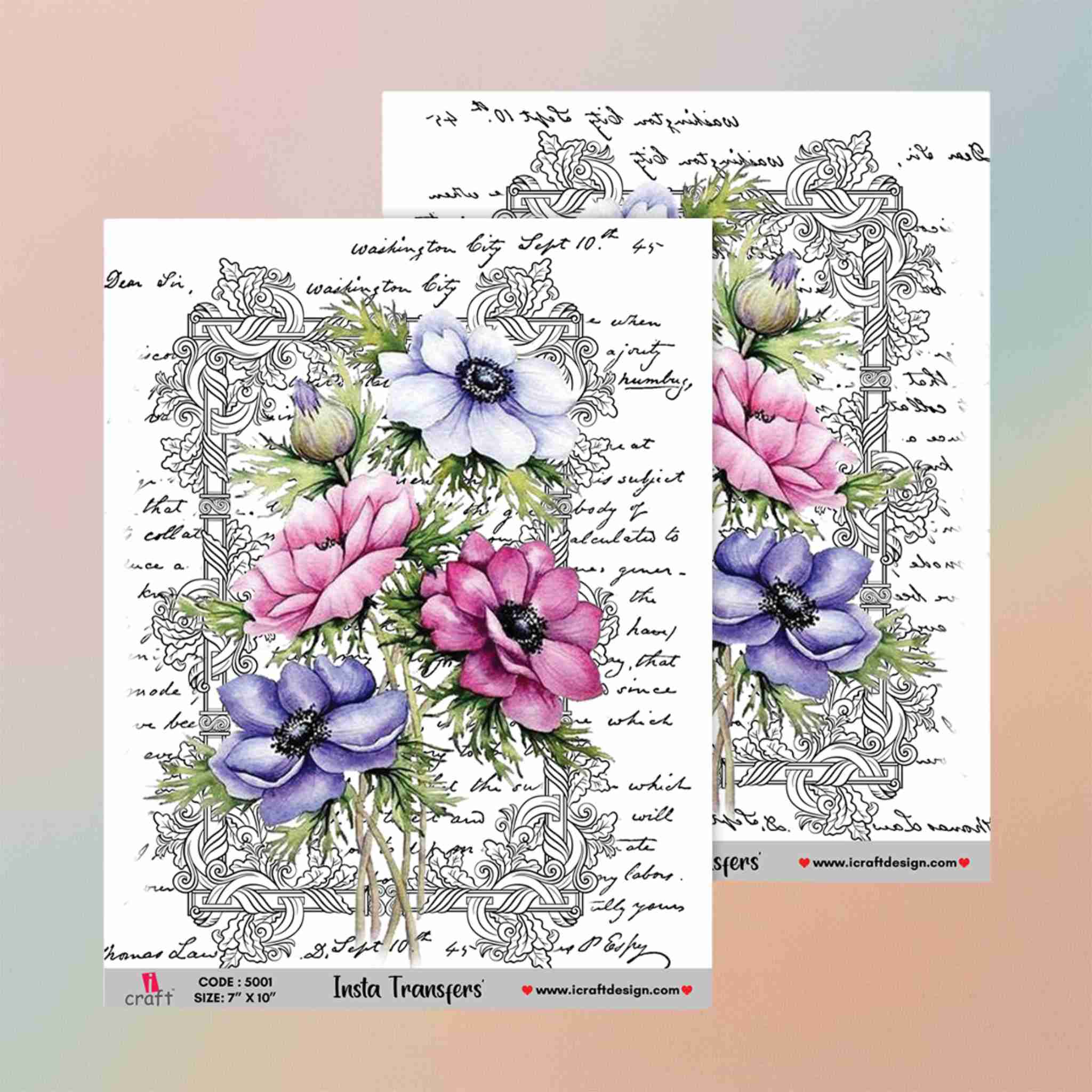 Insta Transfer - 5001