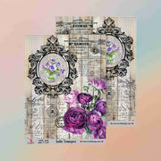 Insta Transfer - 5060