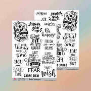 Insta Transfer - 5062