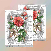 Insta Transfers - 5003