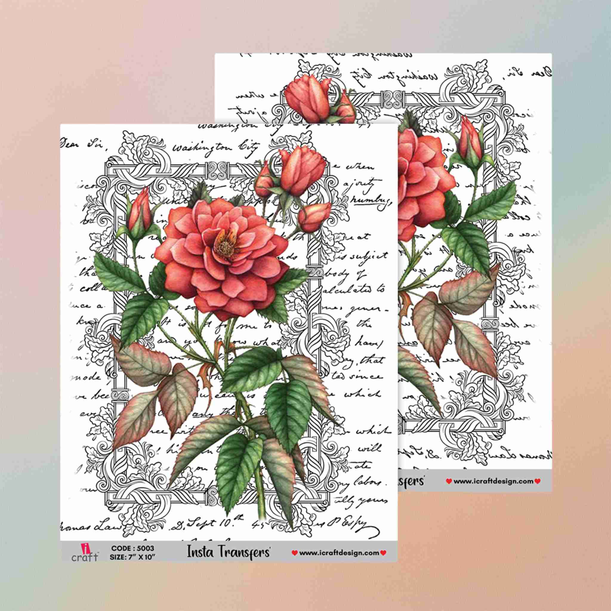 Insta Transfers - 5003