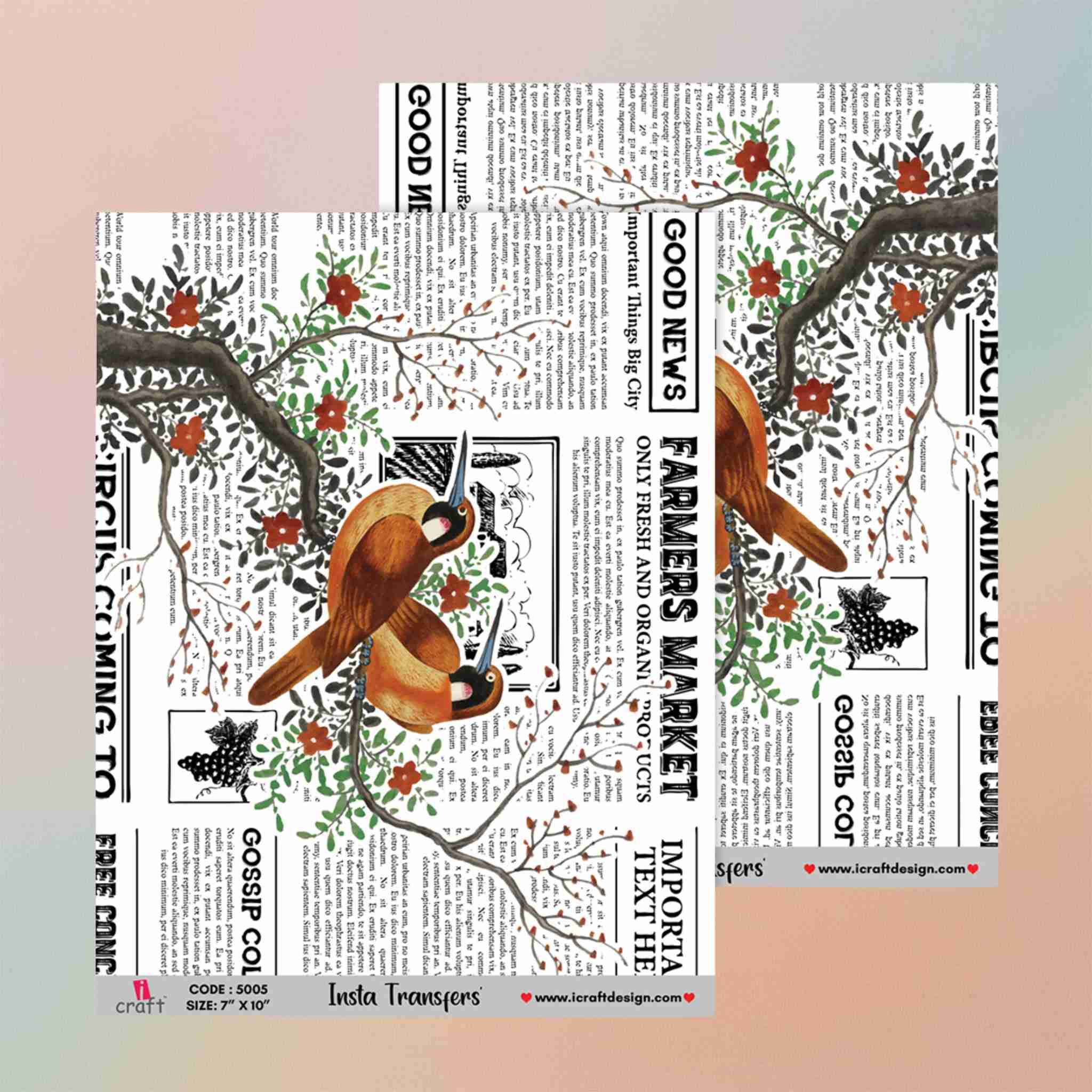 Insta Transfers - 5005