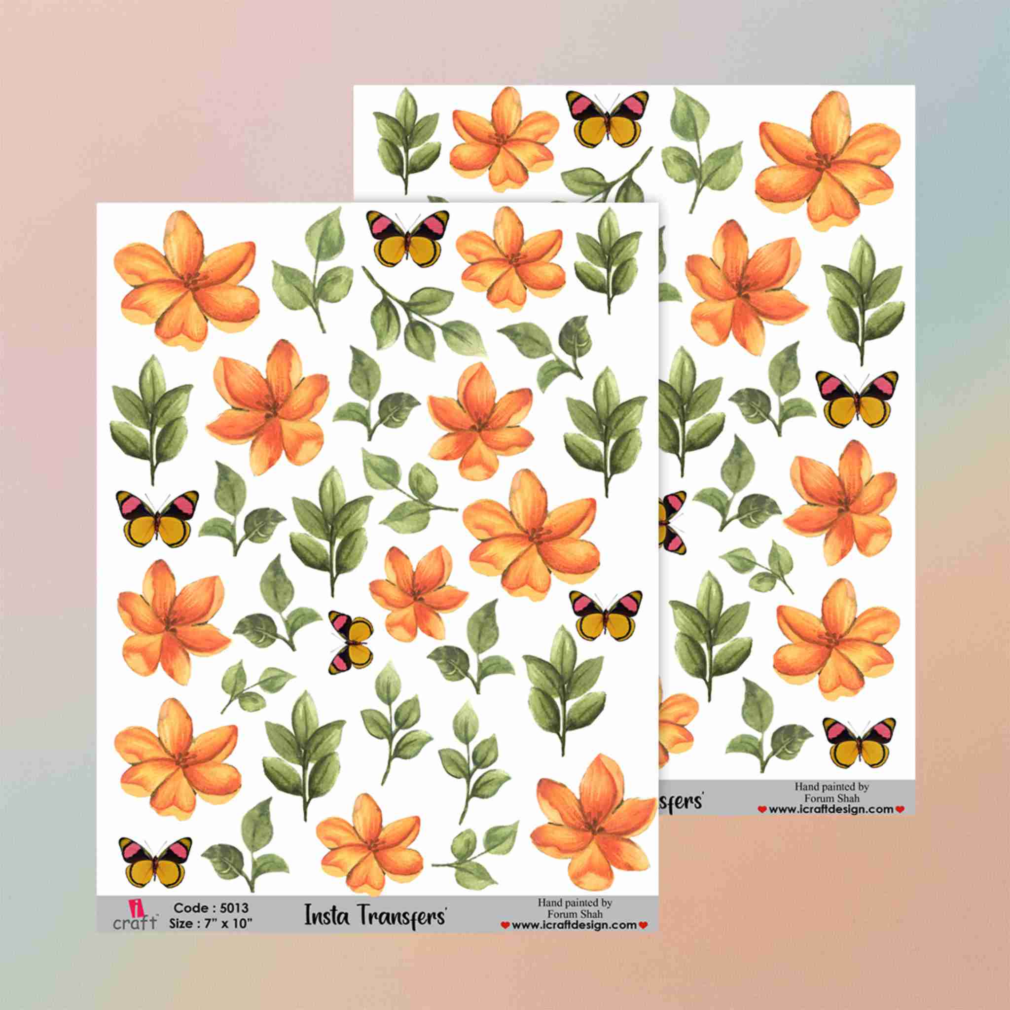 Insta Transfers - 5013