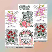 Insta Transfers - 5022