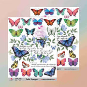 Insta Transfers - 5023