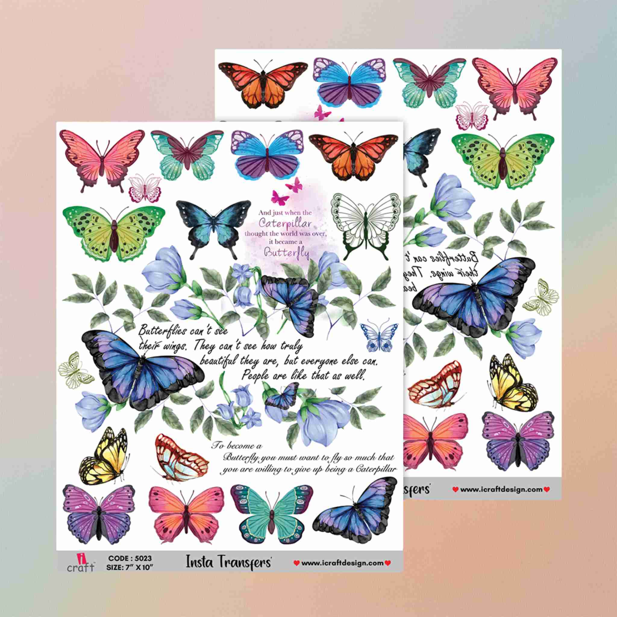 Insta Transfers - 5023