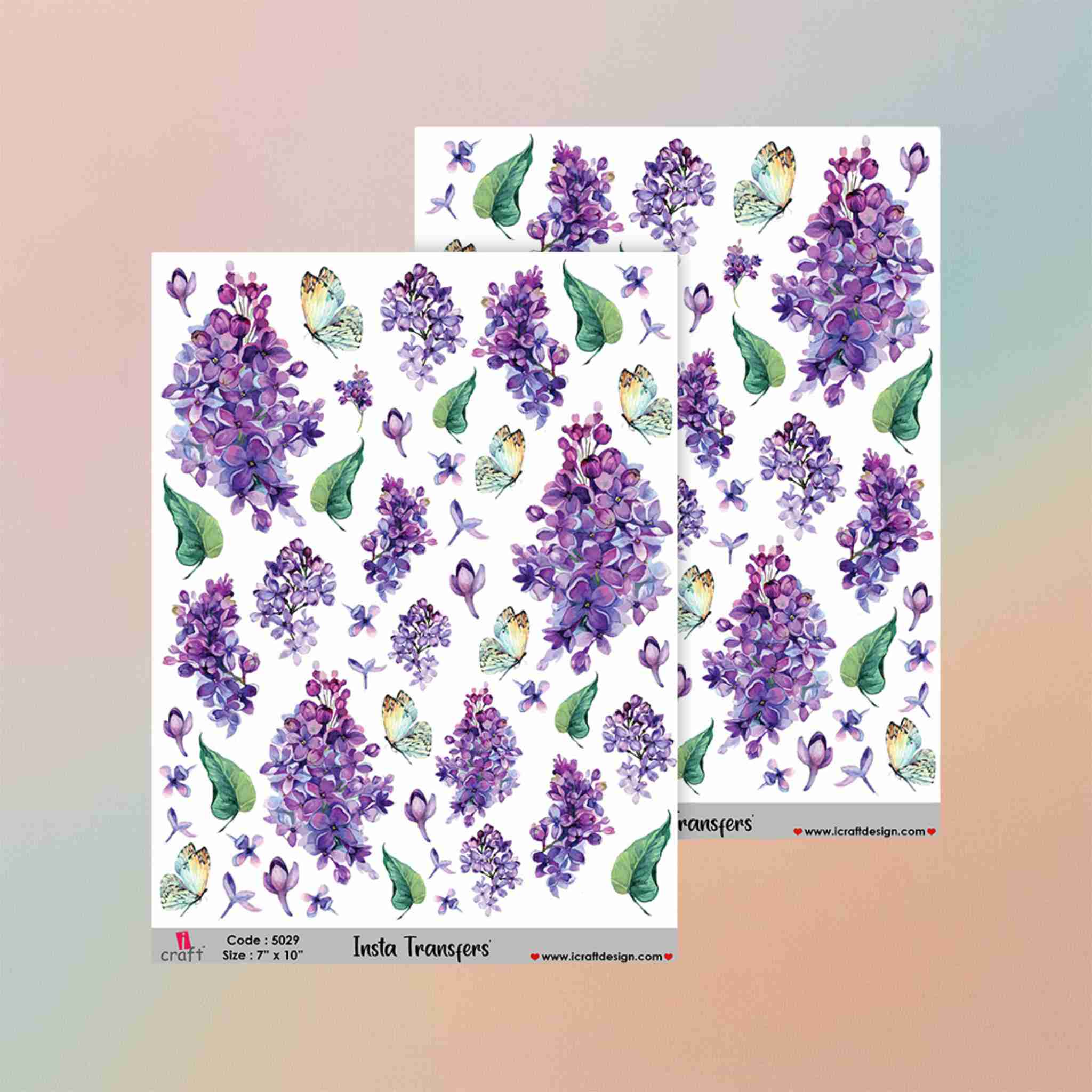 Insta Transfers - 5029