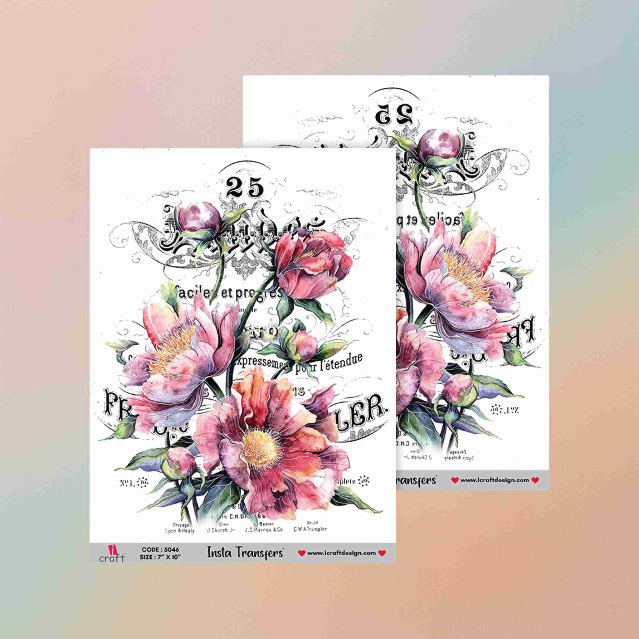 Insta Transfers - 5046