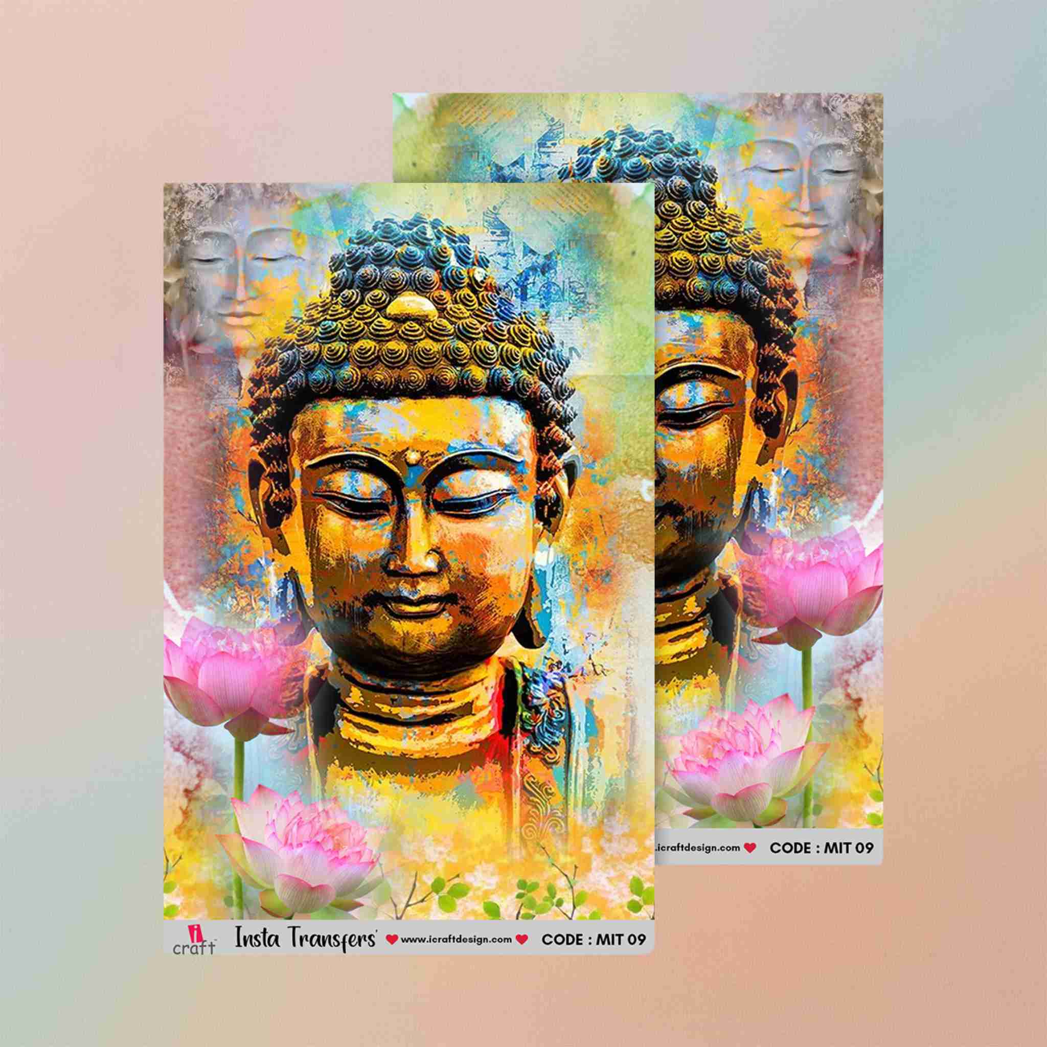 Insta Transfers MIT09