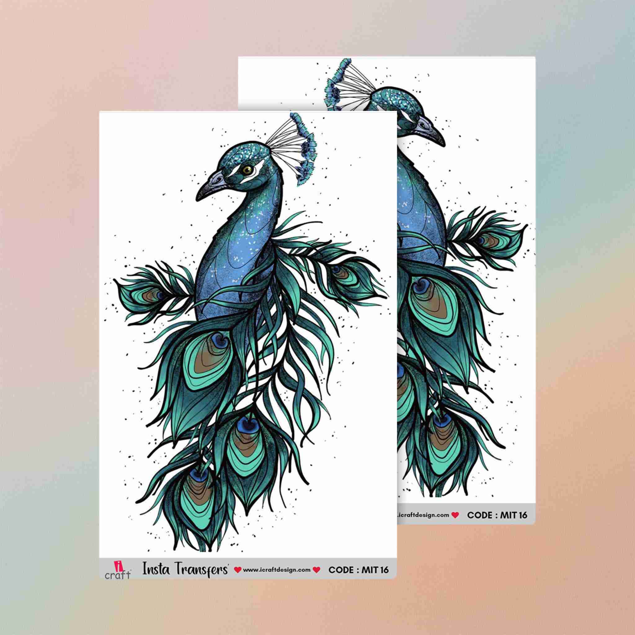 Insta Transfers MIT16