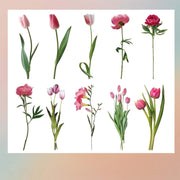 Maroon Tulips Insert Sheet