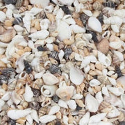 Mix Sea Shell Style A