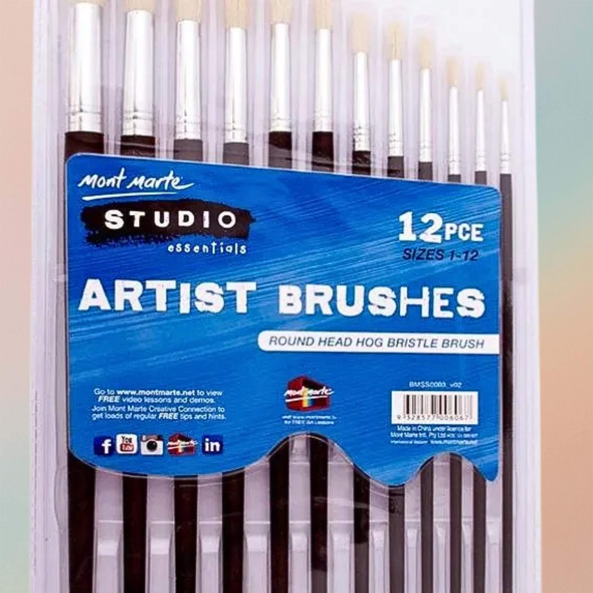 Mont Marte Studio Artist Brushes 12pce Round 1-  12