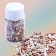 Natural Sea Shell Slices For Resin Art & Jesmonite