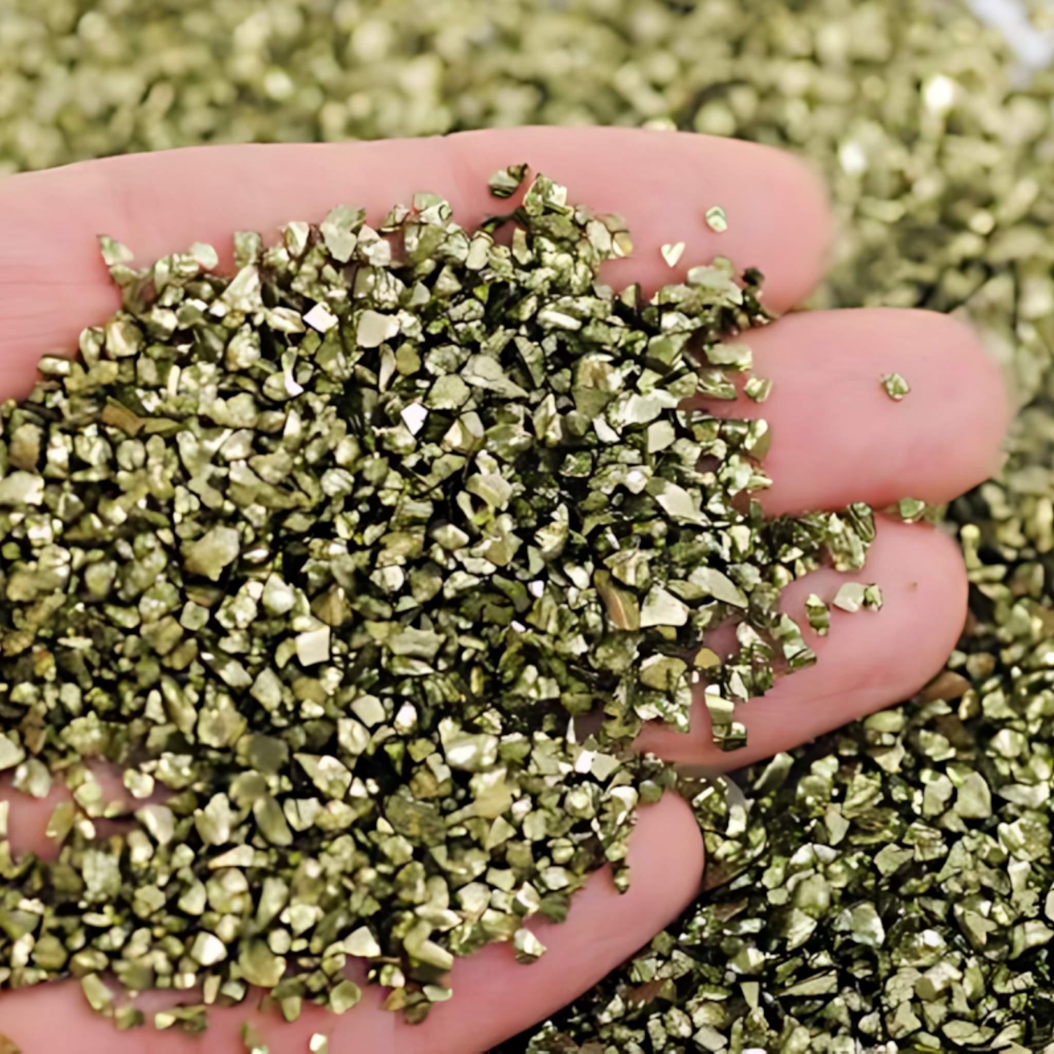 حبيبات الزيتون الأخضر