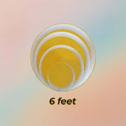 Plexi Glass