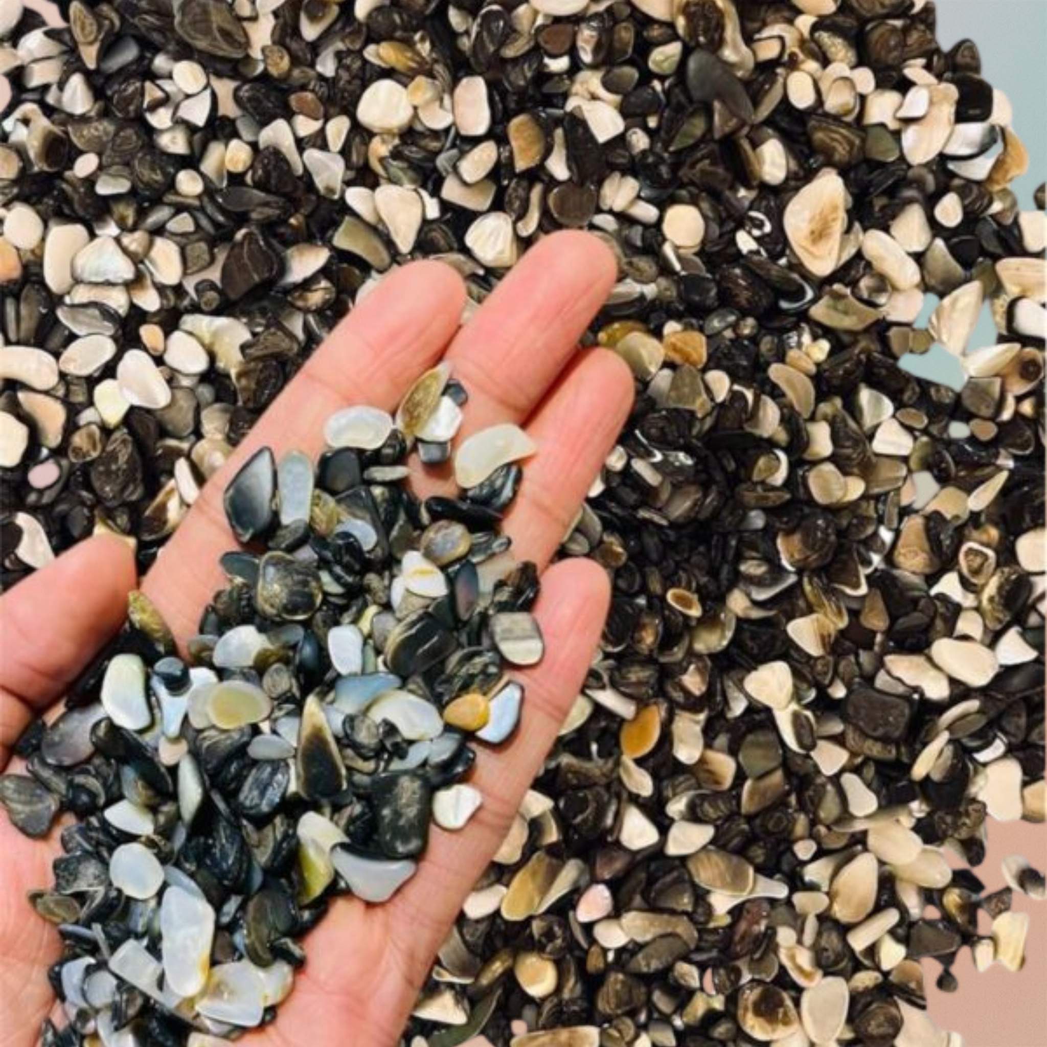Polished Crushed Black Mother of Pearl Shell Chips for DIY Crafts